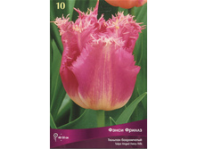 ������� ����� ������.jpg