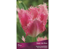 ������� ���� ��� ���.jpg