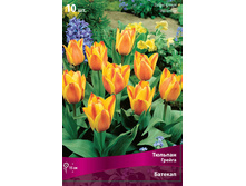 ������� �������.jpg