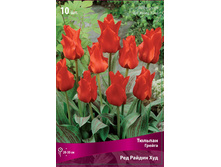 ������� ��� ������ ���.jpg