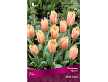 ������� ��� ����.jpg