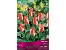 ������� ���� ���.jpg