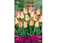 ������� �����.jpg