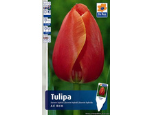 �� ���.jpg