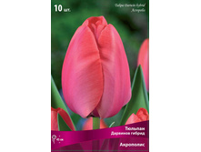 ������� ���������.jpg