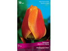 ������� ��������� ����.jpg