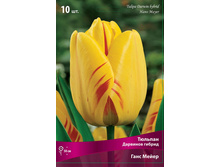 ������� ���� �����.jpg