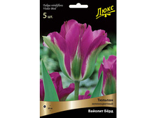 ������� ������� ���.jpg