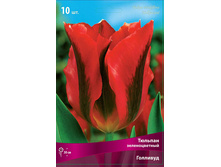 ������� ��������.jpg