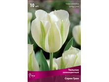 ������� ����� ����.jpg