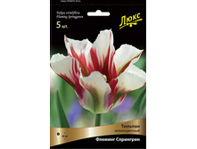 ������� ������� ���������.jpg