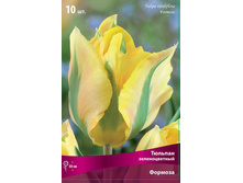 ������� �������.jpg