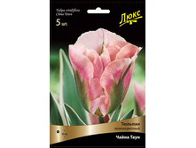 ������� ����� ����.jpg