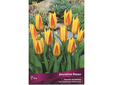 ������� �������� �����.jpg