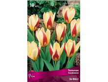 ������� �� ���.jpg