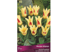 ������� ����� ������.jpg