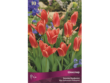 ������� �������.jpg