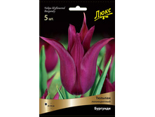 ������� ��������.jpg