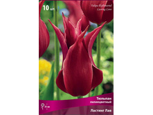 ������� ������� ���.jpg