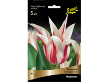 ������� �������.jpg