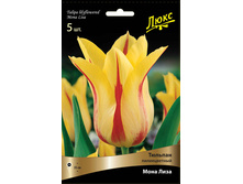 ������� ���� ����.jpg