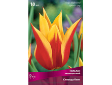 ������� ������� ����.jpg