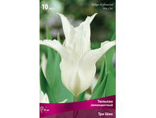 ������� ��� ���.jpg