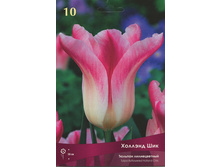 ������� ������� ���.jpg