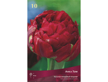 ������� ���� ���.jpg