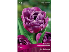 ������� ��� �������.jpg