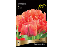 ������� �������� ����.jpg