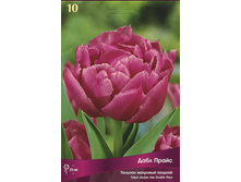 ������� ���� �����.jpg