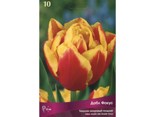 ������� ���� �����.jpg