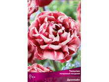 ������� ��������.jpg