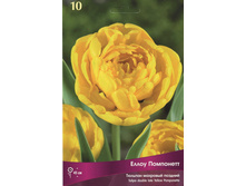 ������� ����� ���������.jpg