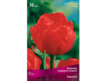 ������� �������.jpg