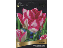 ������� ������.jpg