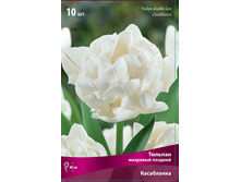 ������� ����������.jpg