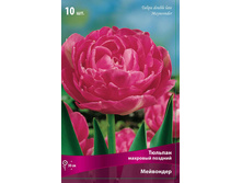 ������� ���������.jpg