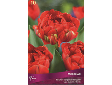 ������� �������.jpg