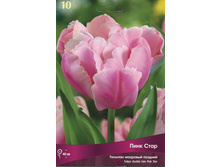 ������� ���� ����.jpg