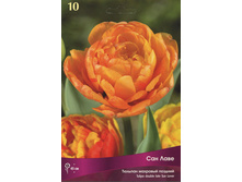 ������� ��� ����.jpg