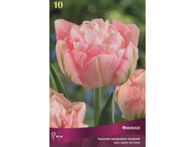 ������� ������.jpg