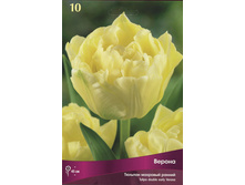 ������� ������.jpg