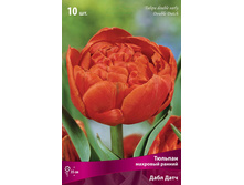 ������� ���� ����.jpg