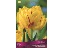 ������� ��������.jpg