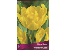 ������� ����� �����.jpg