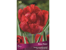 ������� ���� �����.jpg