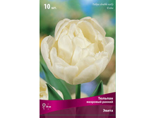 ������� �����.jpg