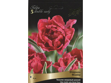 ������� ������� �����.jpg